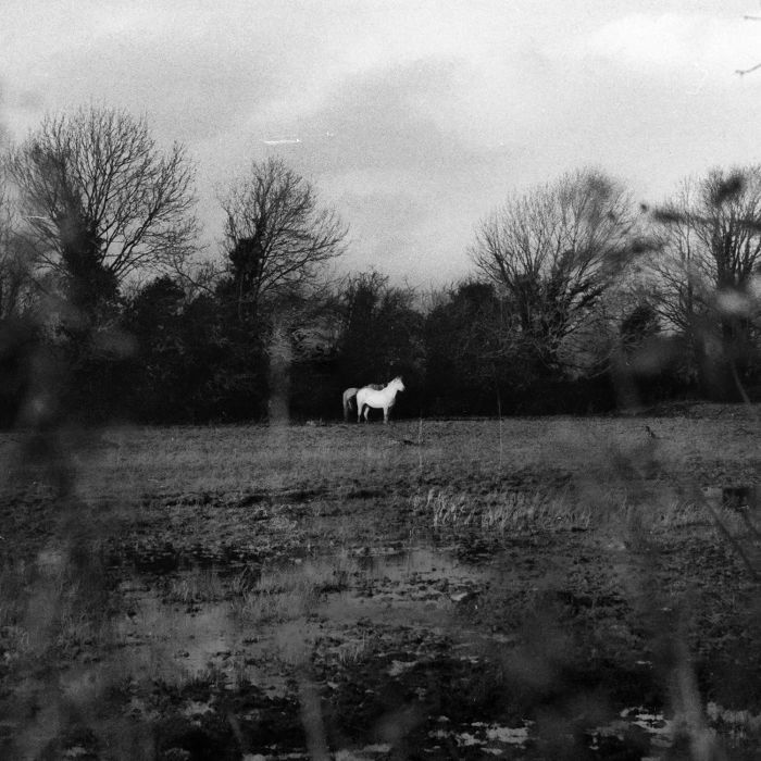FLATSOUND - WHEN YOU RUN AWAY, DO YOU CLOSE YOUR EYES