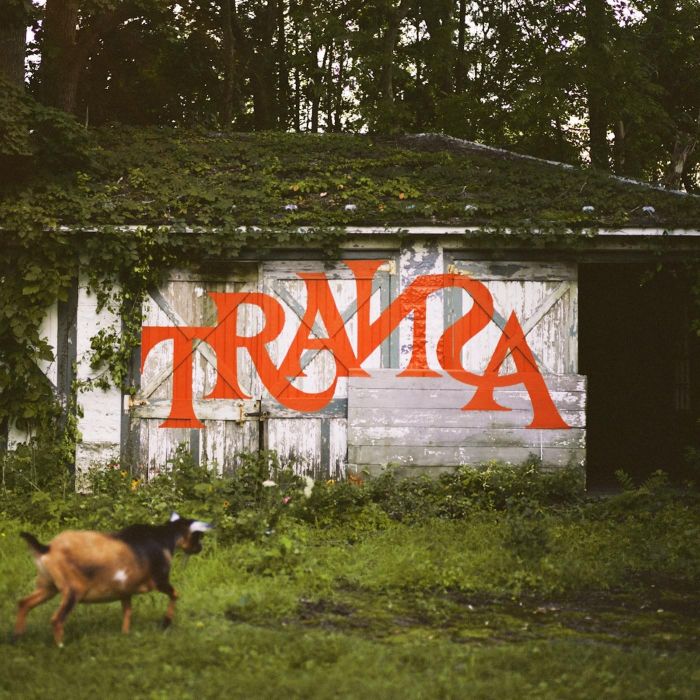 VARIOUS ARTISTS - TRANSA (DELUXE)