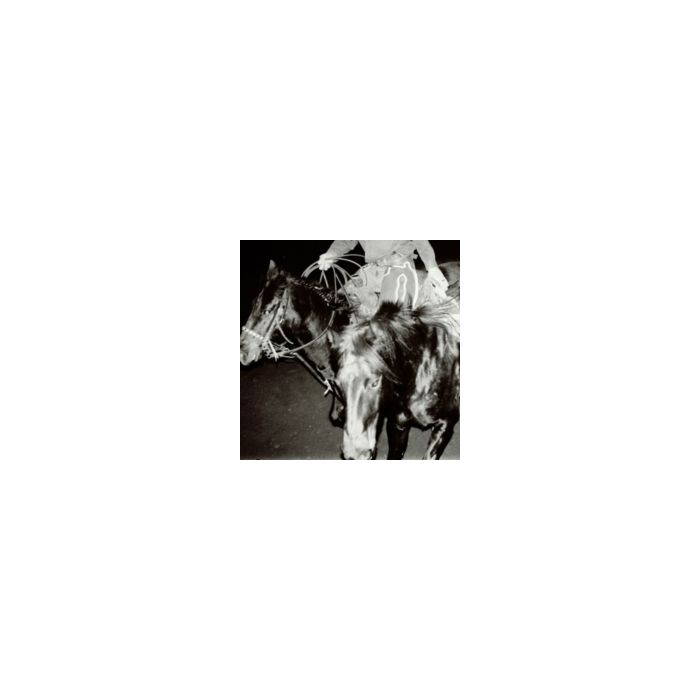 HOLY MOTORS - HEAVEN'S NIGHT