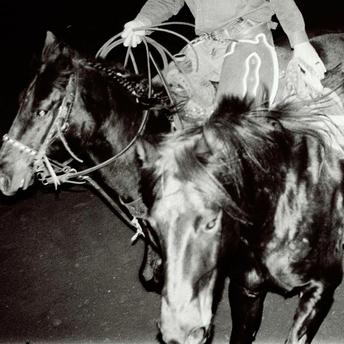 HOLY MOTORS - HEAVEN'S NIGHT