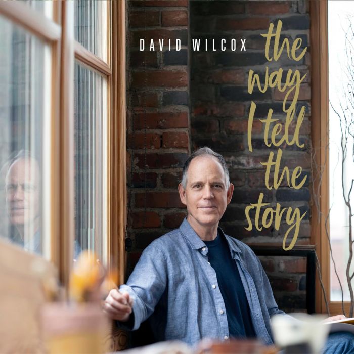 DAVID WILCOX - WAY I TELL THE STORY