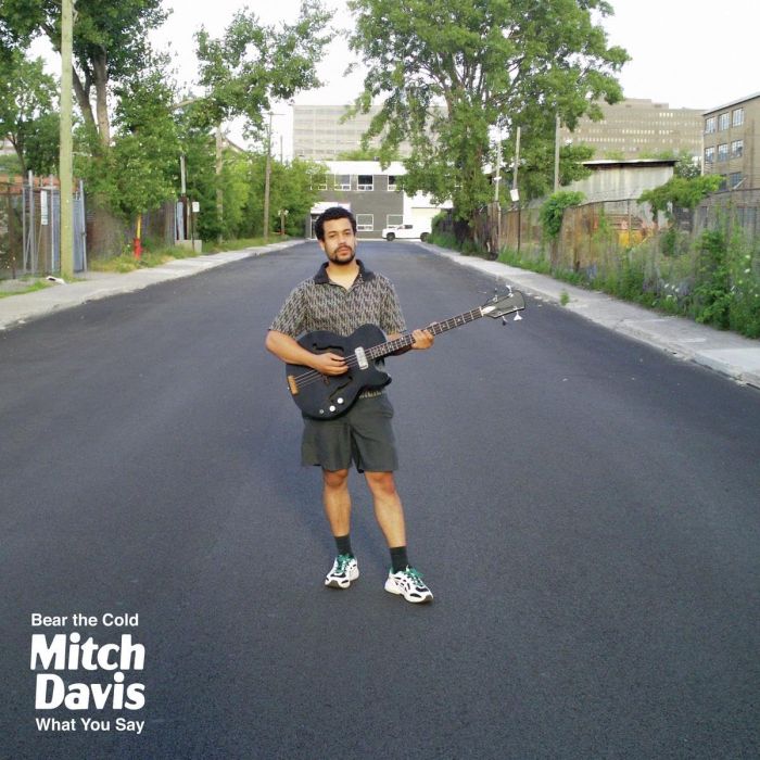 MITCH DAVIS - BEAR THE COLD