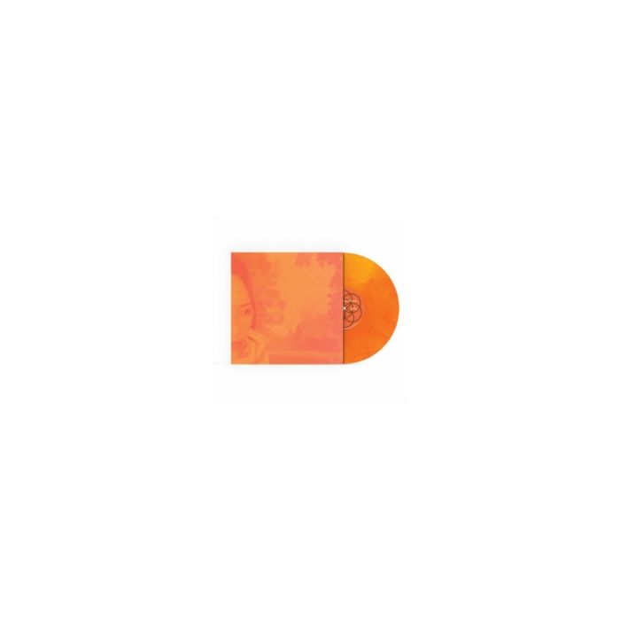 DJNOTADJ - DEEP ROOTS IN SHALLOW GROUND