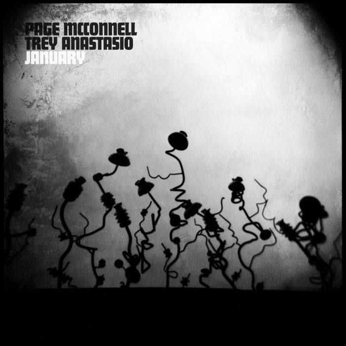 MCCONNELL,PAGE & TREY ANASTASIO - JANUARY (GOLD VINYL)