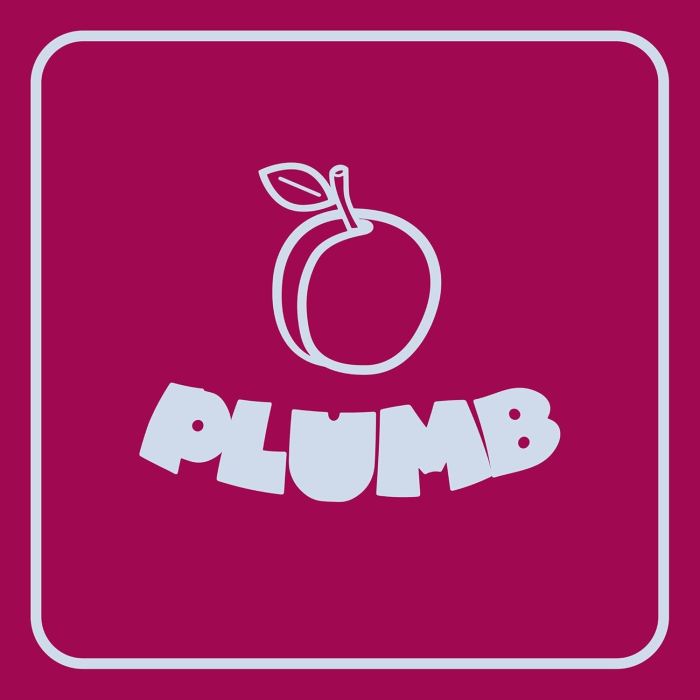 RAY; QUESTLOVE; DAVID MURRAY ANGRY - PLUMB (4LP BOX)