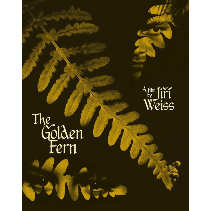 GOLDEN FERN