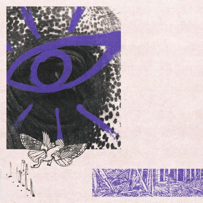 HIPPO CAMPUS - LP3