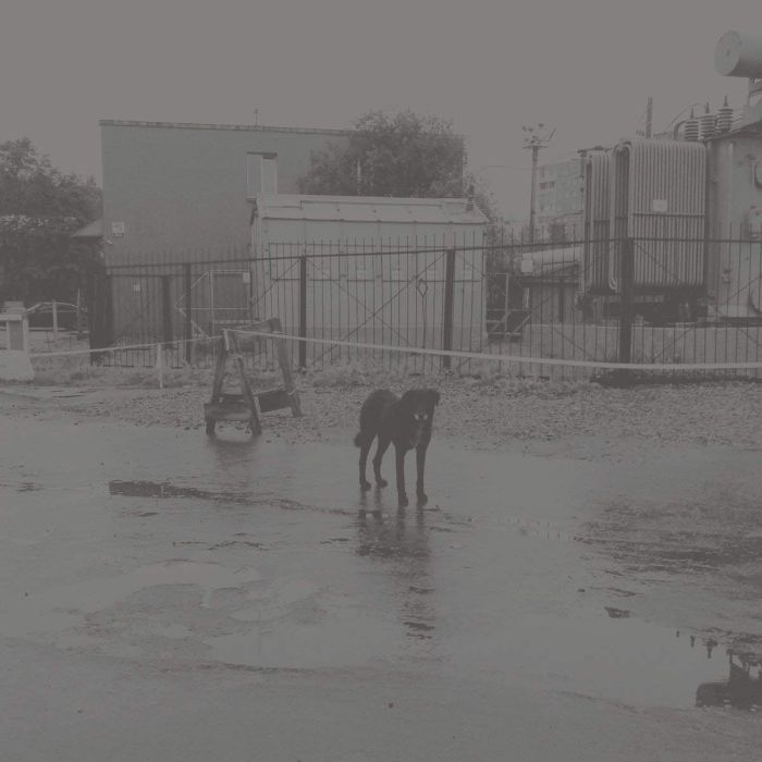 NIVHEK - AFTER ITS OWN DEATH / WALKING IN A SPIRAL TOWARDS THE HOUSE