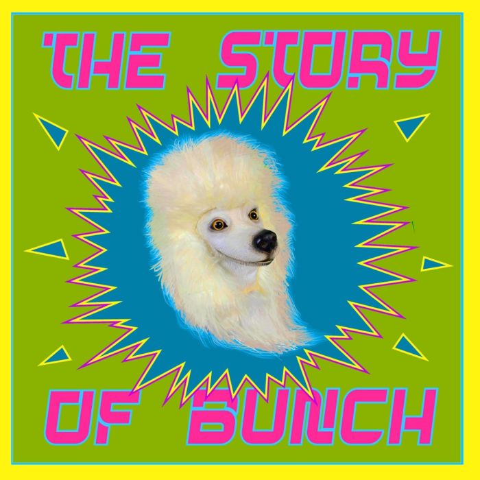 HARRY LARRY LANDIS - STORY OF BUNCH