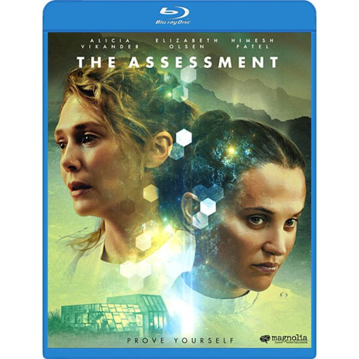 ASSESSMENT