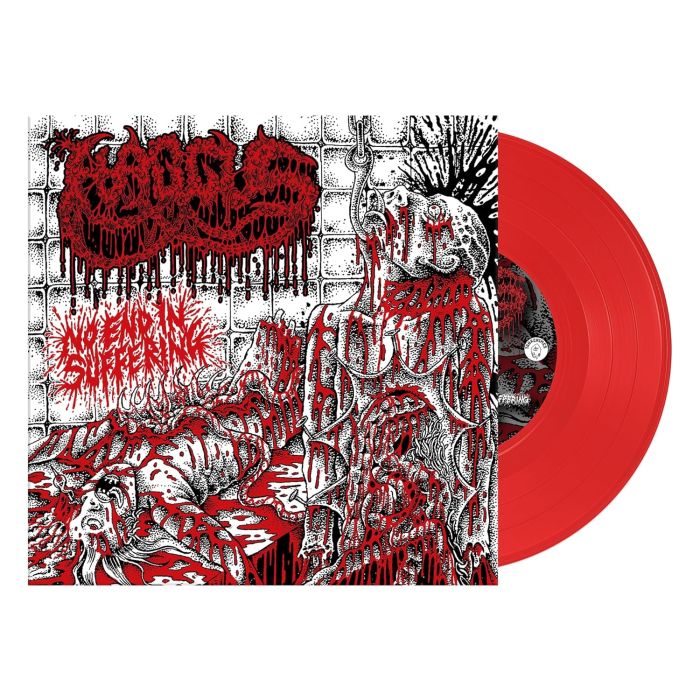 HAGGUS - NO END IN SUFFERING