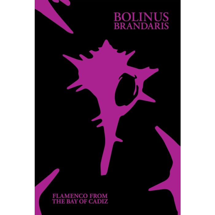VARIOUS ARTISTS - BOLINUS BRANDARIS: FLAMENCO FROM THE BAY OF CADIZ