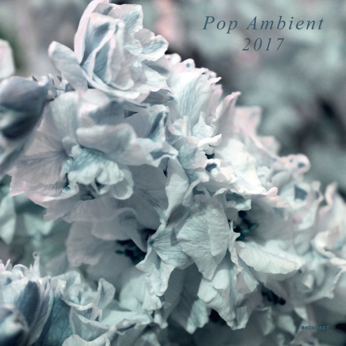 VARIOUS ARTISTS - POP AMBIENT 2017