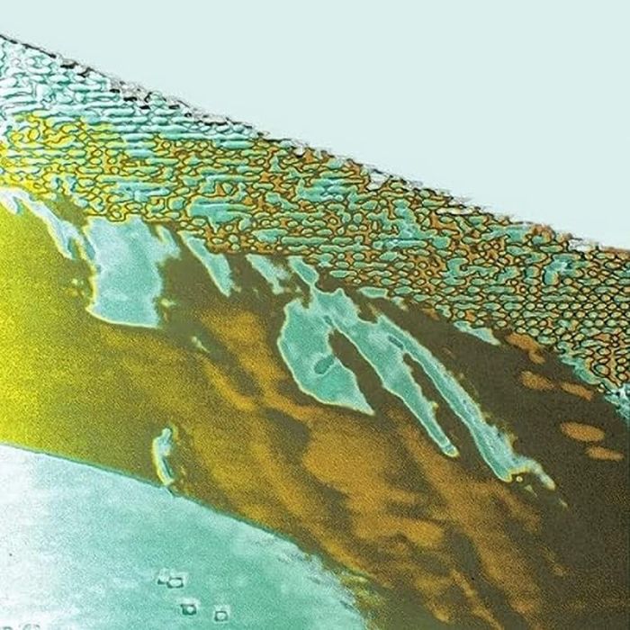 OLLI AARNI - KOKO MAAILMA