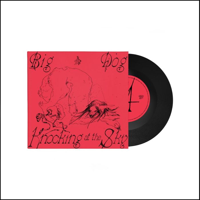 LAST DINNER PARTY - BIG DOG / KNOCKING AT THE SKY