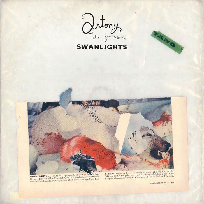 ANTONY & THE JOHNSONS - SWANLIGHTS
