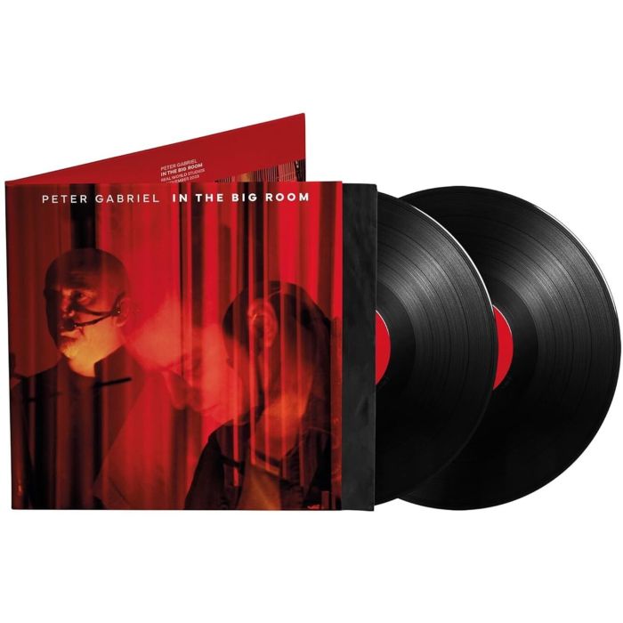 PETER GABRIEL - IN THE BIG ROOM (180G)