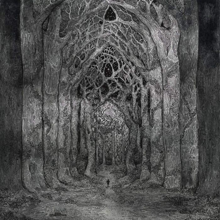 NHOR - WITHIN THE DARKNESS BETWEEN THE STARLIGHT (180G)