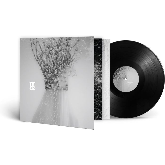 NEGURA BUNGET - ZAU