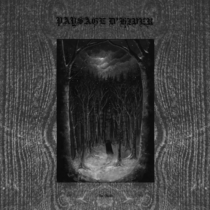 PAYSAGE D'HIVER - IM WALD