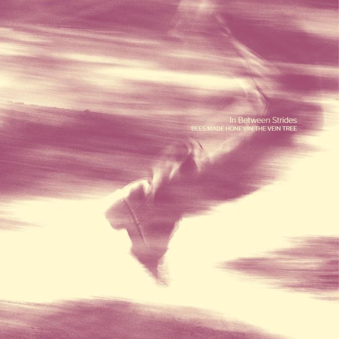 BEES MADE HONEY IN THE VEIN TREE - IN BETWEEN STRIDES (DIGIPACK)