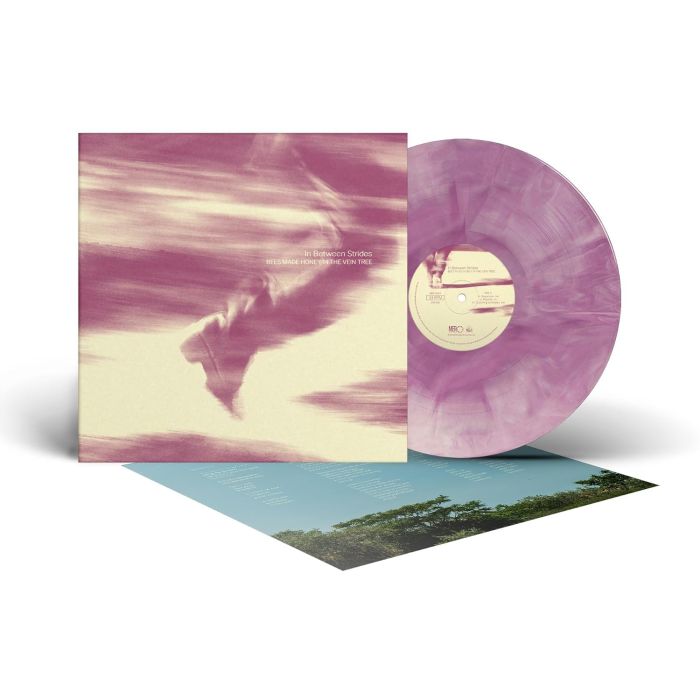 BEES MADE HONEY IN THE VEIN TREE - IN BETWEEN STRIDES (COLOR VINYL/140G)