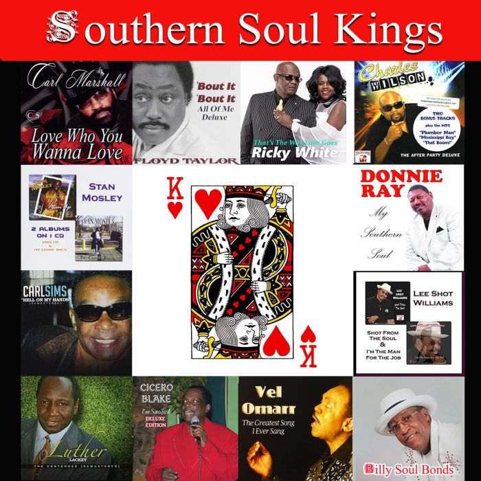 VARIOUS - SOUTHERN SOUL KINGS
