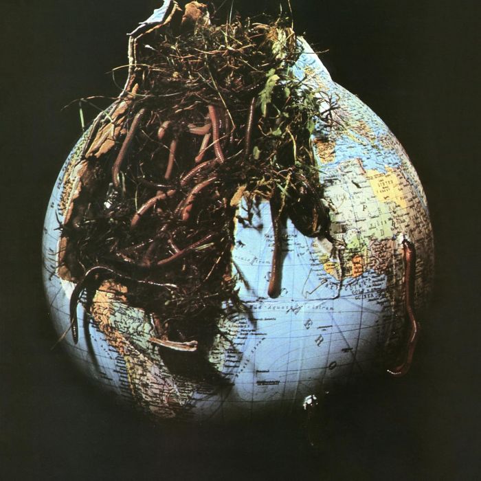 DROSSELBART - DROSSELBART