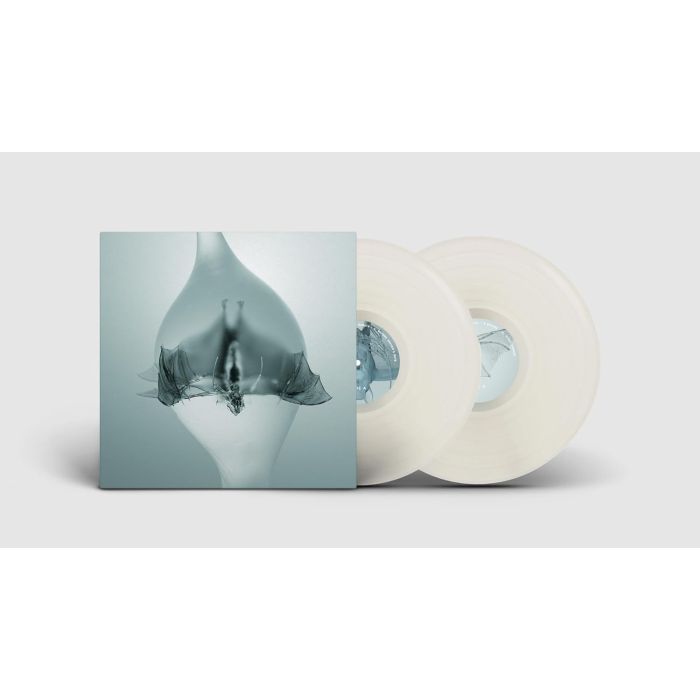 UNPROCESSED - ANGEL (CLEAR VINYL)