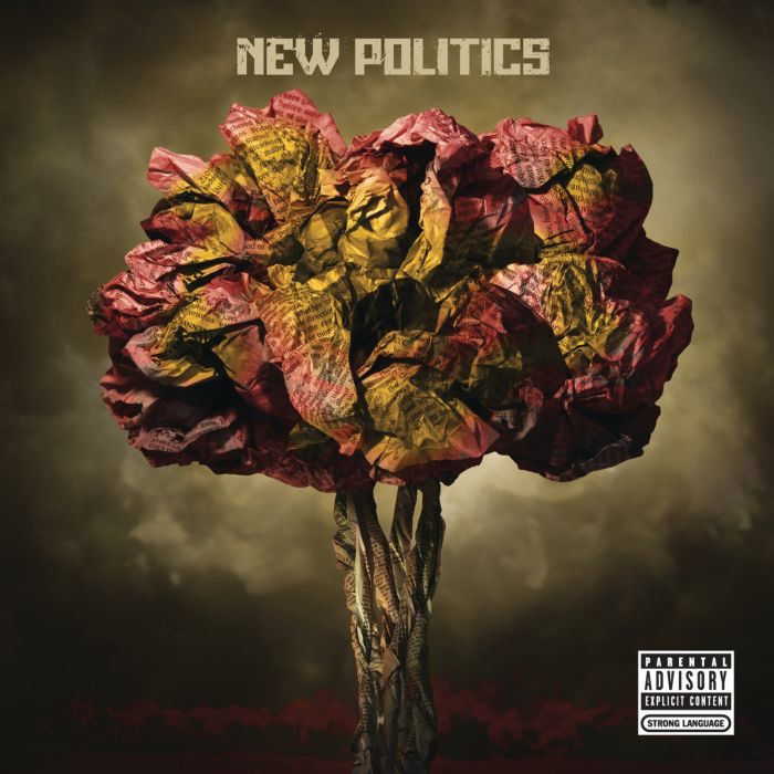 NEW POLITICS - NEW POLITICS