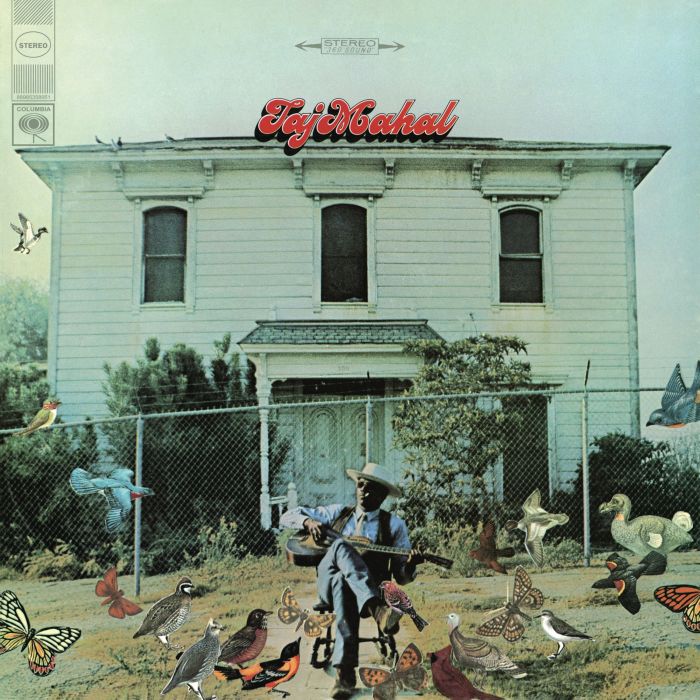 TAJ MAHAL - TAJ MAHAL