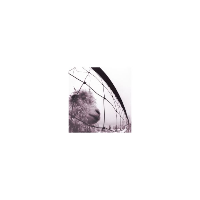 PEARL JAM - VS. (180G/GATEFOLD)