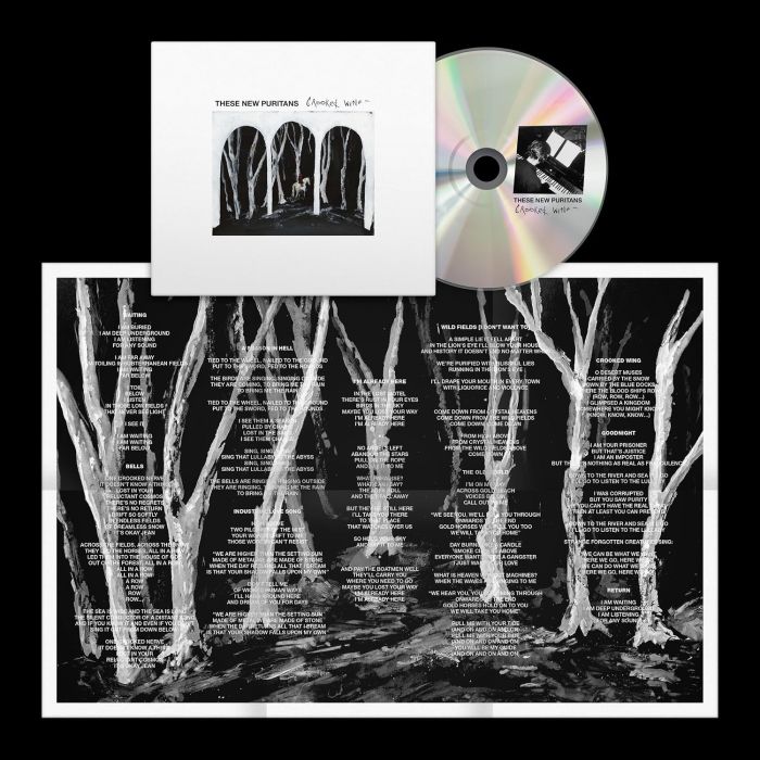 THESE NEW PURITANS - CROOKED WING