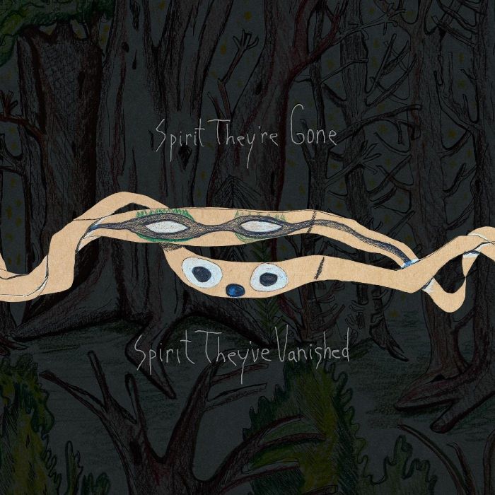 ANIMAL COLLECTIVE - SPIRIT THEY'RE GONE, SPIRIT THEY'VE VANISHED (DELUXE EDITION)