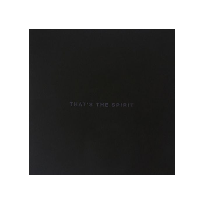 BRING ME THE HORIZON - THAT'S THE SPIRIT