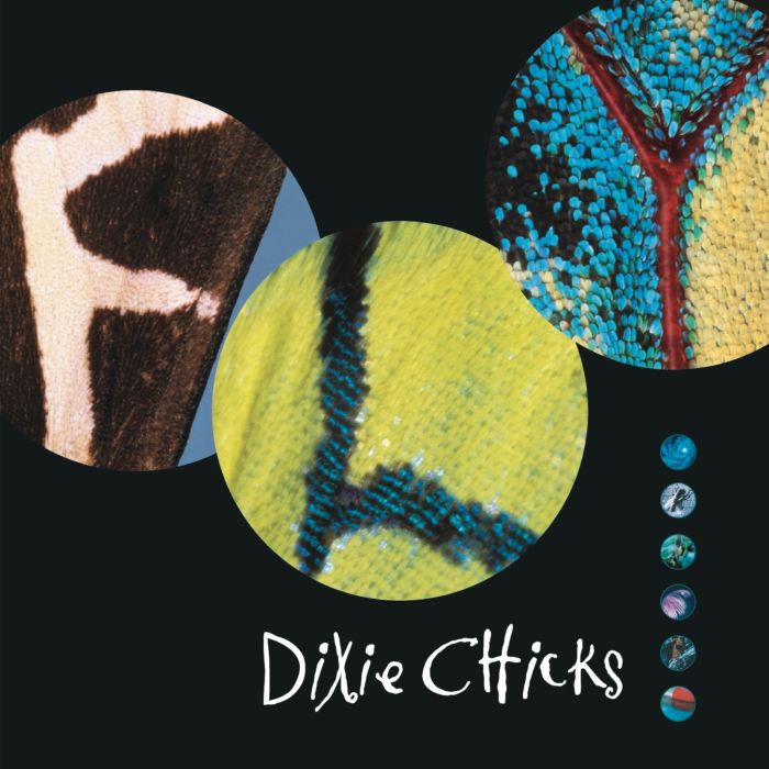 CHICKS - FLY