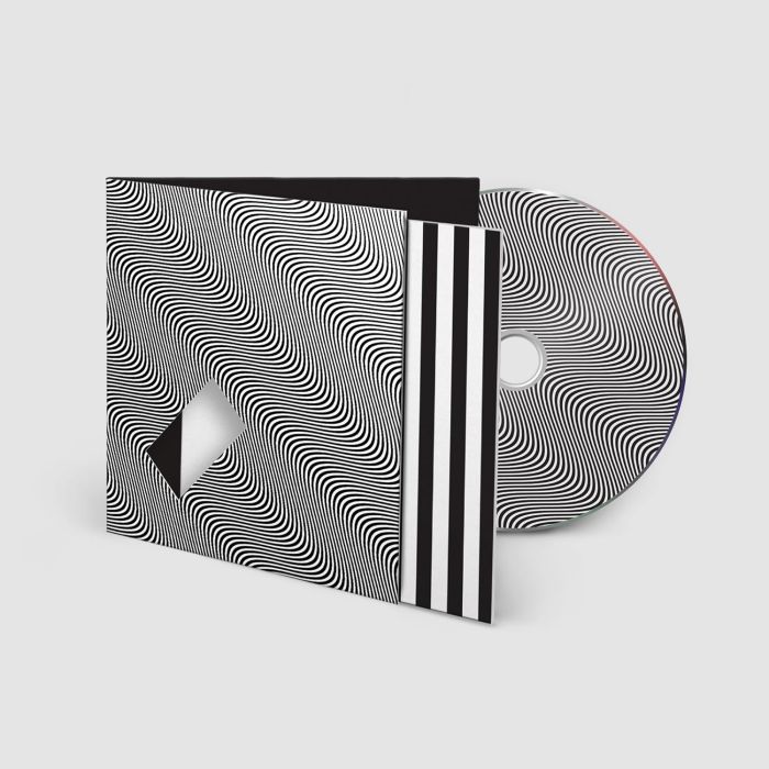 JAMIE XX - IN WAVES