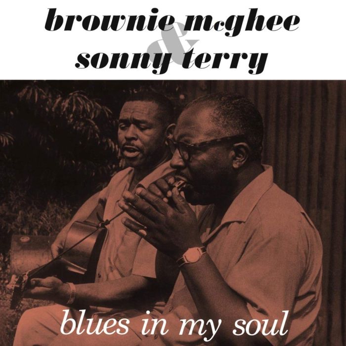 BROWNIE MCGHEE & SONNY TERRY - BLUES IN MY SOUL