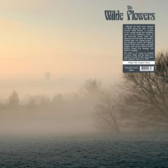 WILDE FLOWERS - WILDE FLOWERS (180G)