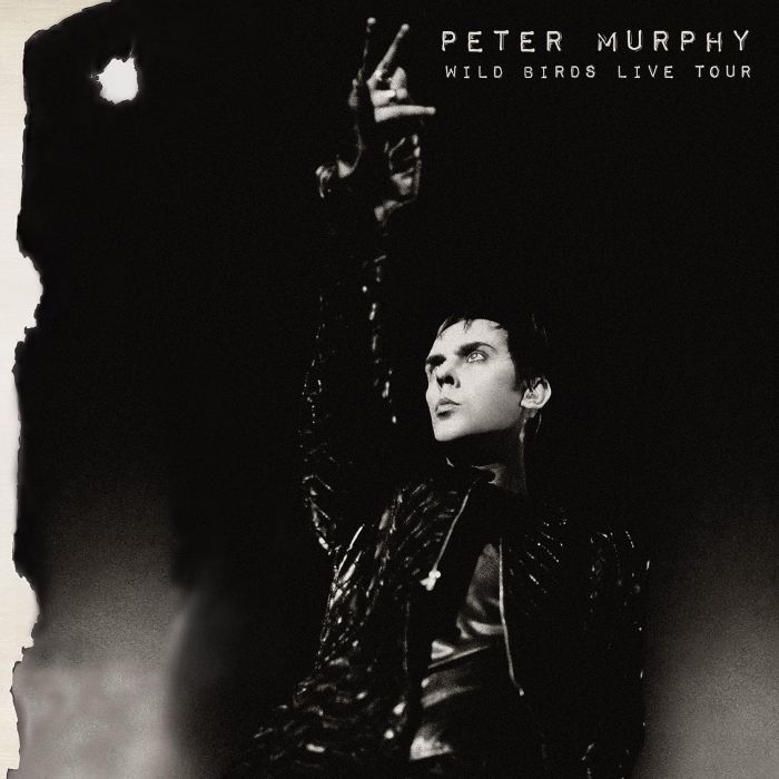 PETER MURPHY - WILD BIRDS LIVE TOUR (PURPLE & BLACK VINYL/2LP)