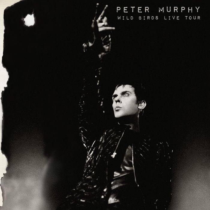 PETER MURPHY - WILD BIRDS LIVE TOUR