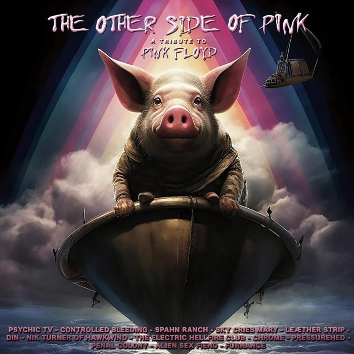 VARIOUS ARTISTS - OTHER SIDE OF PINK FLOYD (PINK VINYL)