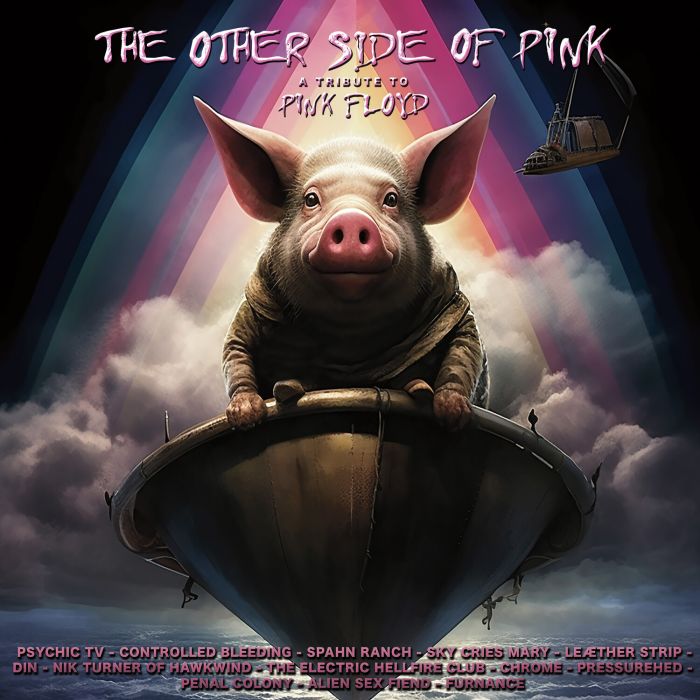 VARIOUS ARTISTS - OTHER SIDE OF PINK FLOYD (PINK VINYL)