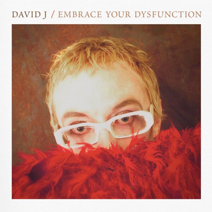 DAVID J - EMBRACE YOUR DYSFUNCTION