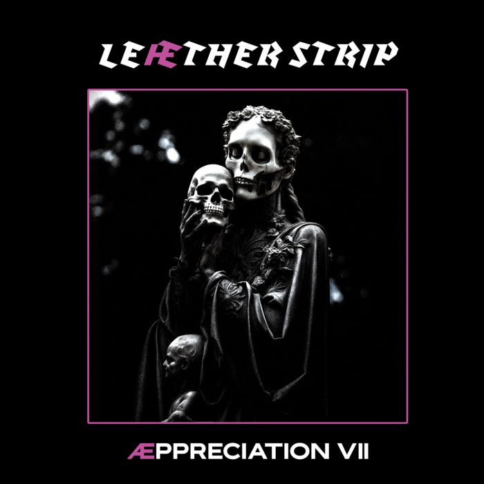 LEAETHER STRIP - AEPPRECIATION VII