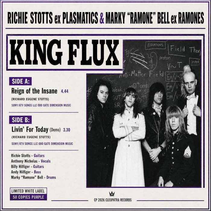 KING FLUX - REIGN OF THE INSANE