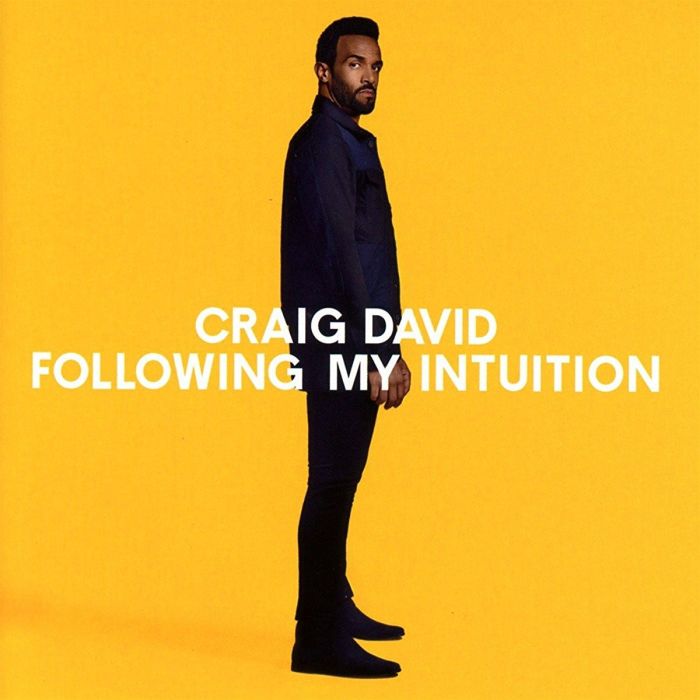 CRAIG DAVID - FOLLOWING MY INTUITION