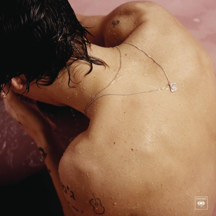 HARRY STYLES - HARRY STYLES (180G/GATEFOLD)