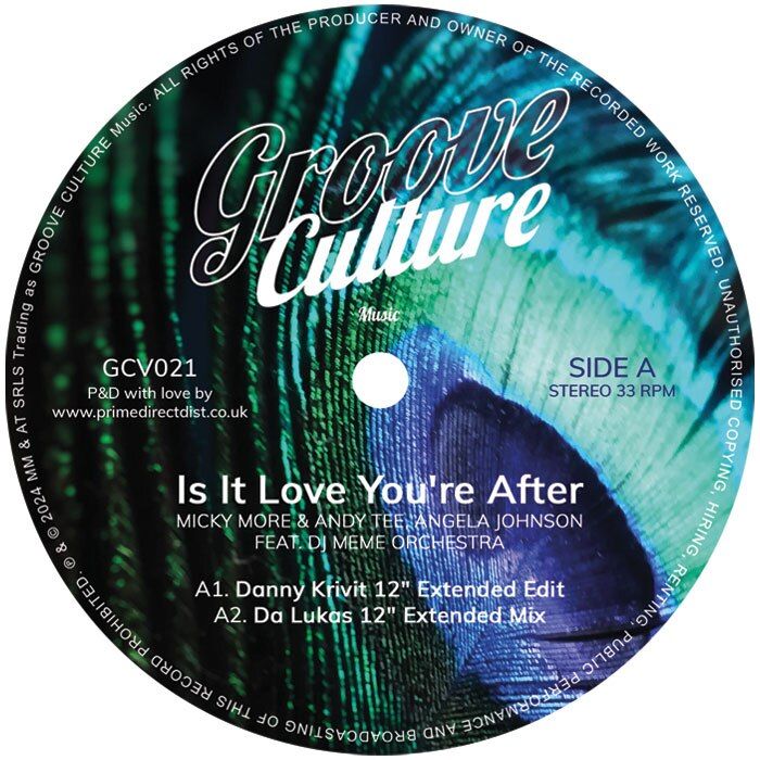 MICKY MORE & ANDY TEE FEAT. ANGELA JOHNSON & DJ MEME ORCHESTRA - IS IT LOVE YOU'RE AFTER