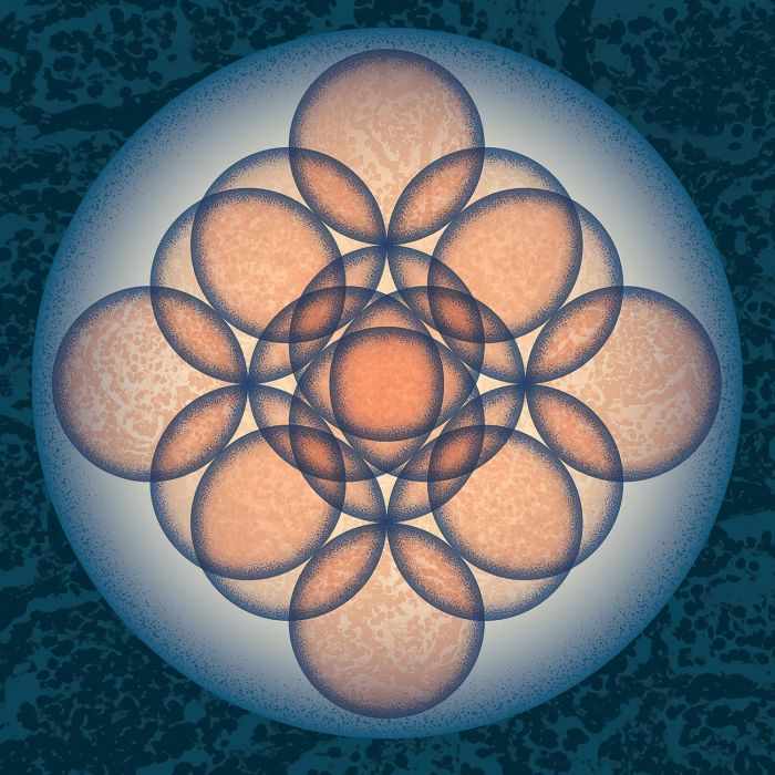 EMBRYO - AUF AUF